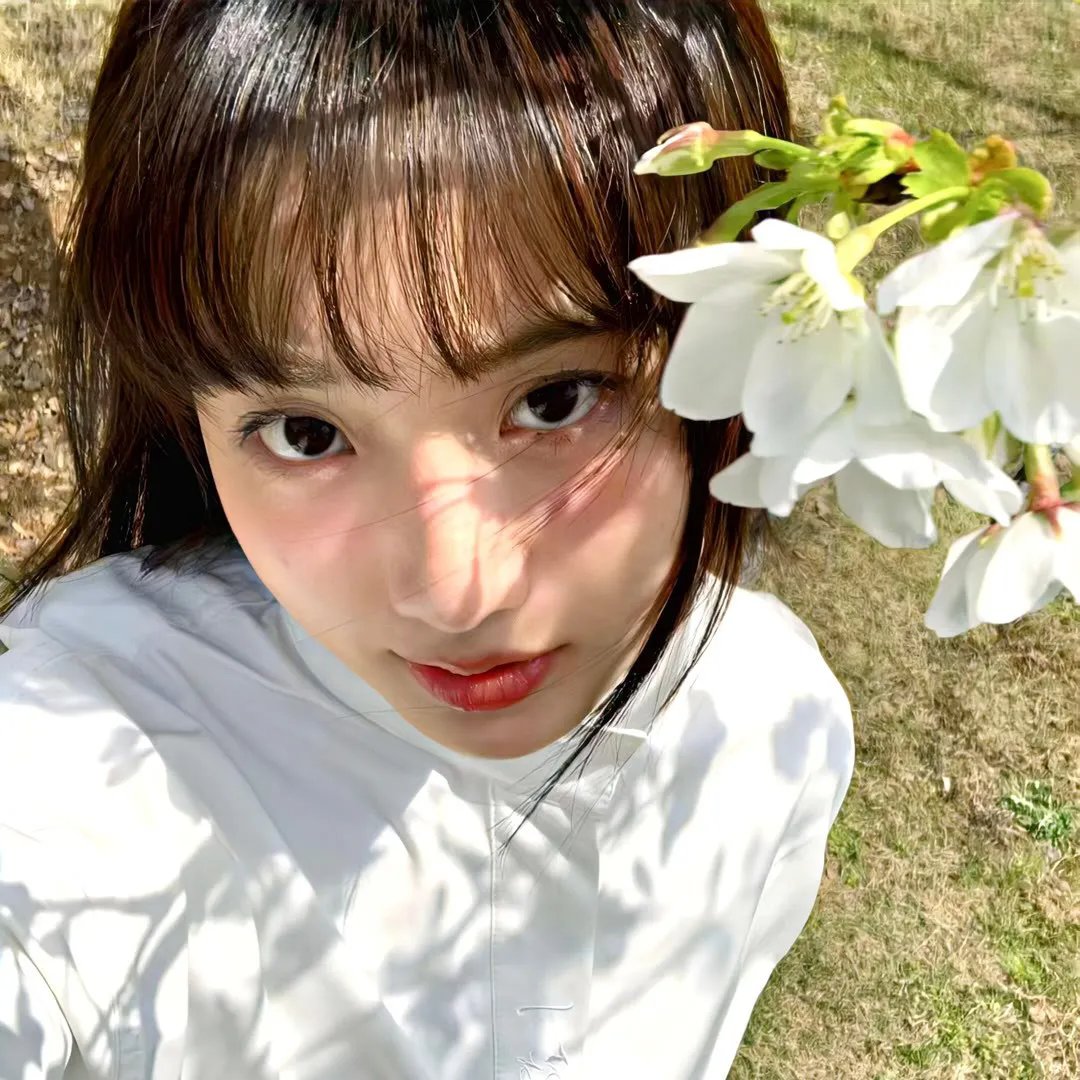 曲点鸳鸯谱